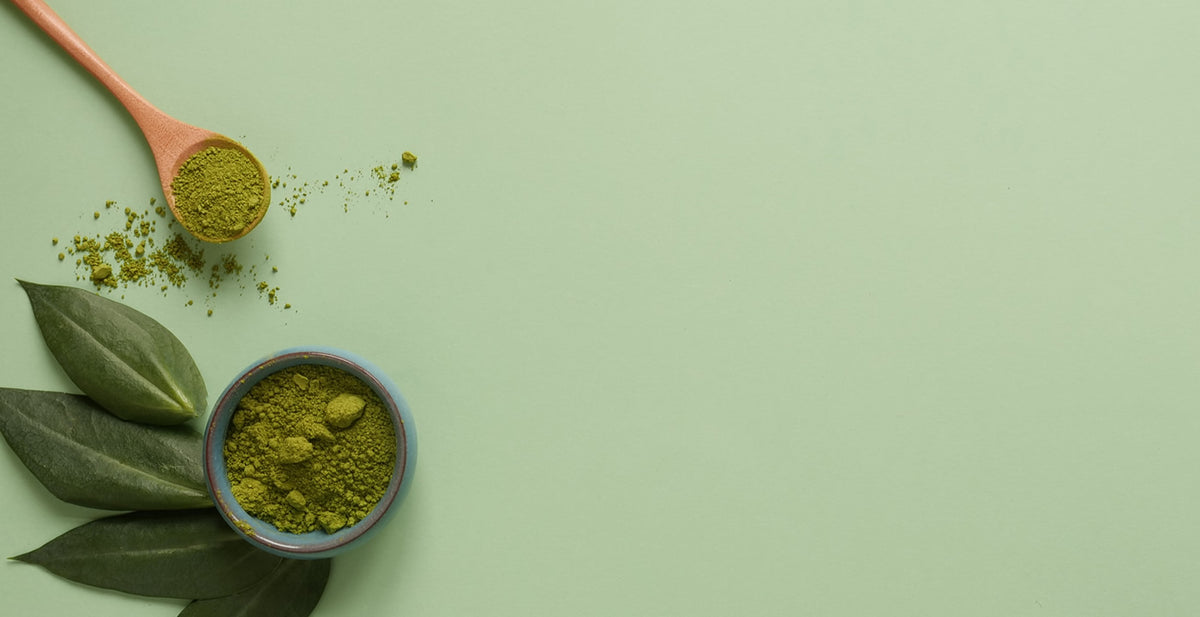 A guide to Matcha; a history and benefits overview. – Lenny and Larrys