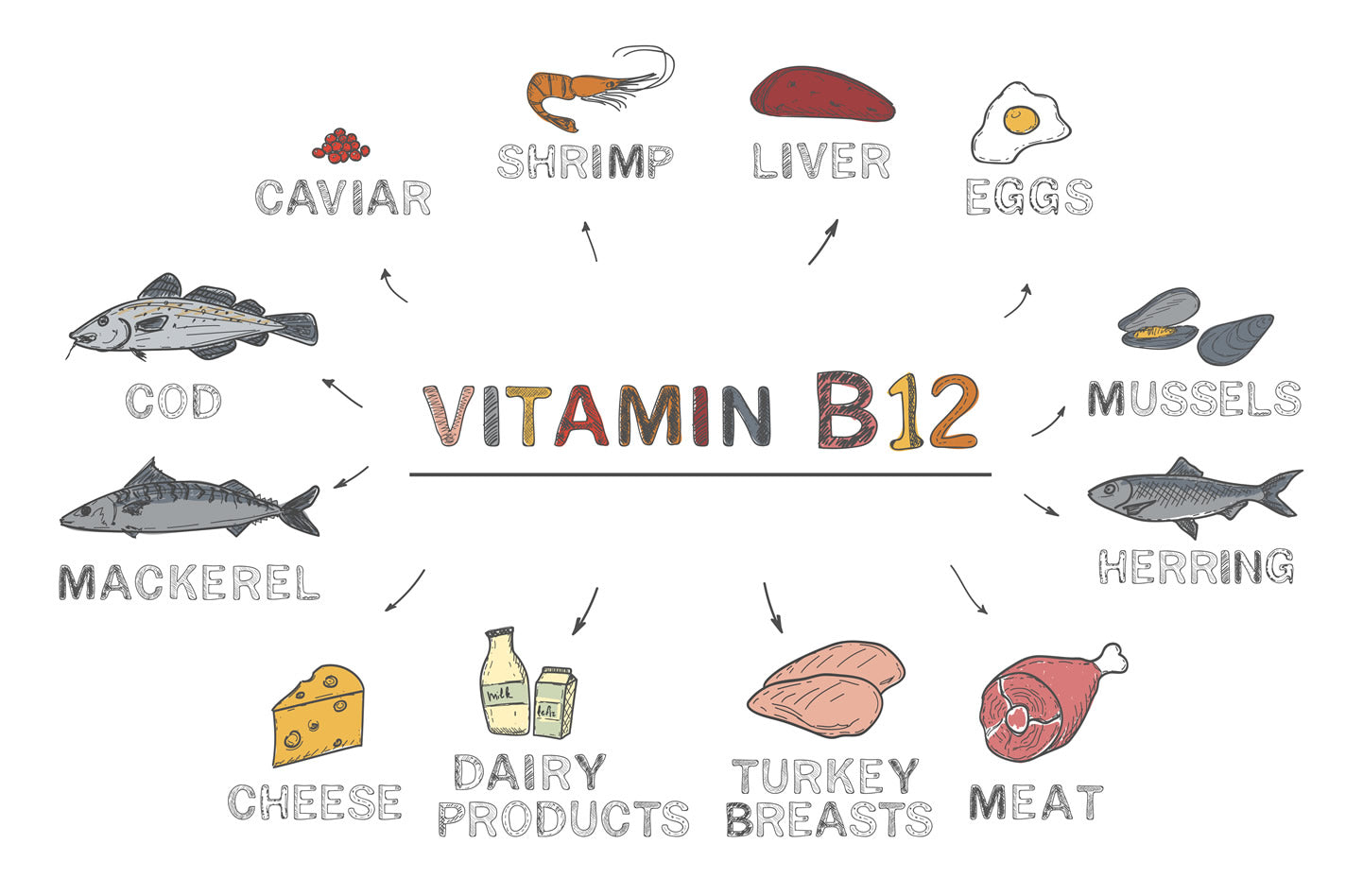 The Hidden Secrets of Vitamin B12